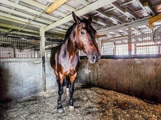 Photo of Listing #RX-11043815