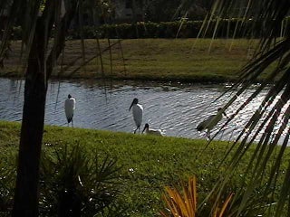 Photo of Listing #RX-11049437