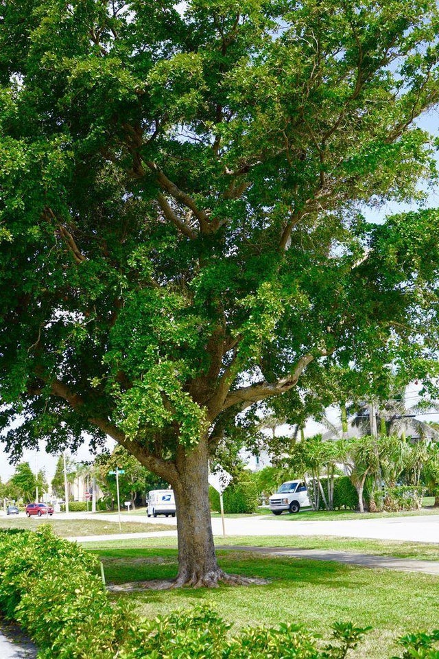 2 of 10 - 690 Kingsbridge St #12, Boca Raton, FL