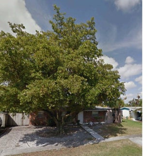 Photo of Listing #RX-11100130