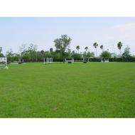 4 of 15 - 14432 Belmont Trce, Wellington, FL