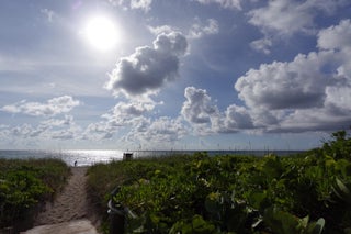 Photo of Listing #RX-11101503