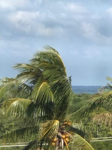 Photo of Listing #RX-11103570