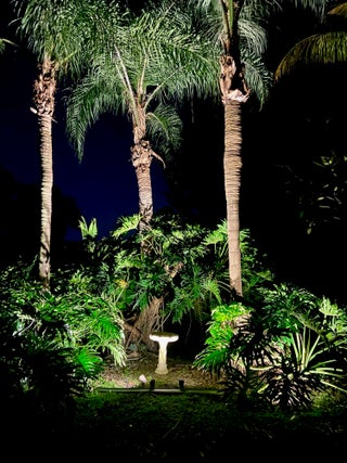Photo of Listing #RX-11111203