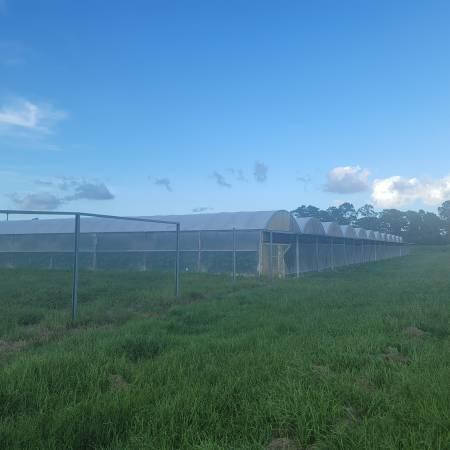 Photo of Listing #RX-11120751