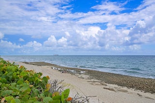 Photo of Listing #RX-11125768