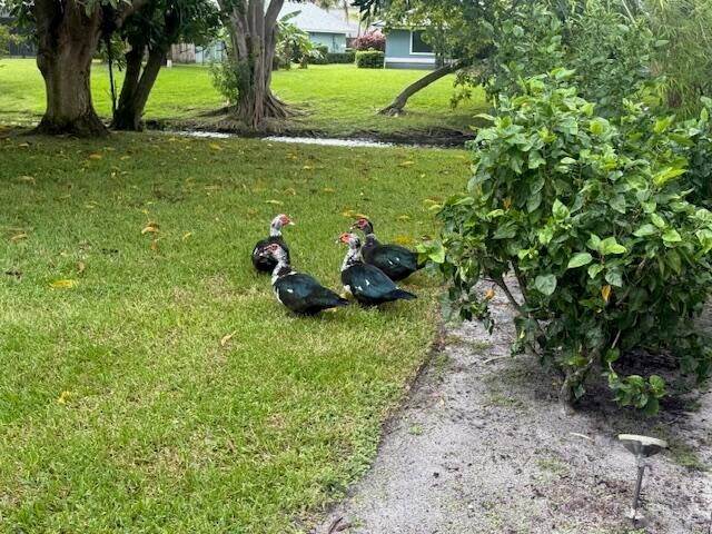 3 of 41 - 13718 Callington Drive, Wellington, FL