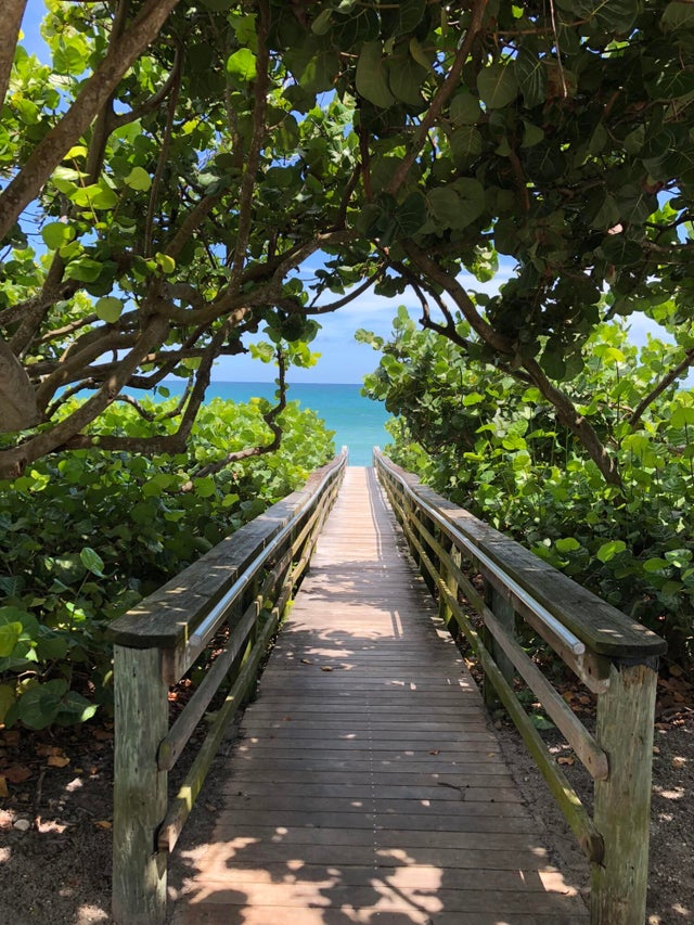 Photo of Listing #RX-11136898