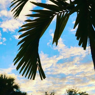 Photo of Listing #RX-11140560