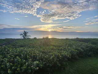 Photo of Listing #RX-11144760