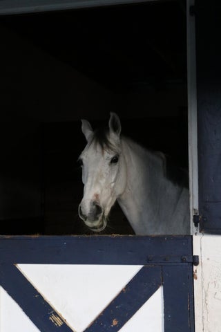 Photo of Listing #RX-11152528