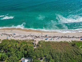 Photo of Listing #RX-11154669