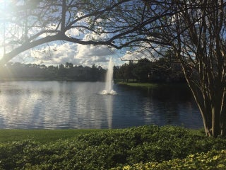 Photo of Listing #RX-11165027