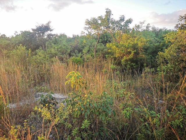 9 Acre Lot Off Carmichael Rd, New Providence/Paradise Island