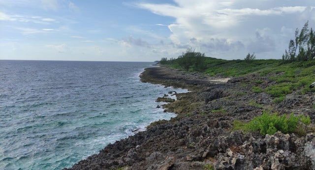 Morgan's Drive (bluff Road), Andros