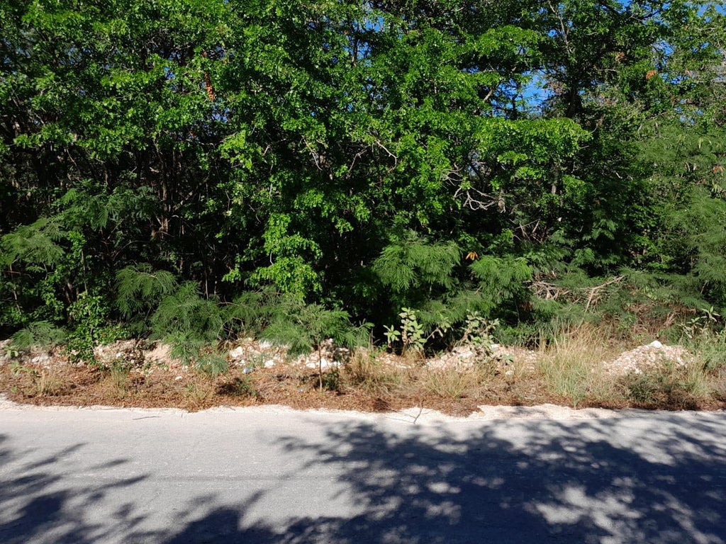 Queen's Highway, Exuma & Exuma Cays