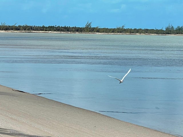 Wemyss Long Island, Long Island