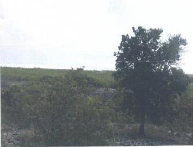 Parcel Of Land And Improv, Andros