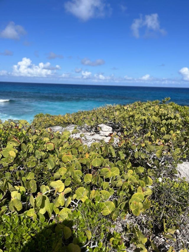 2 Acres In Millerton's, Long Island