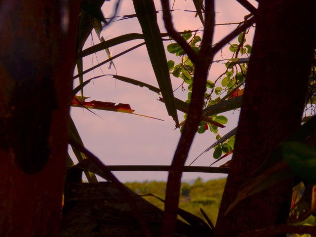 Stella Maris Lot$ 86, Long Island