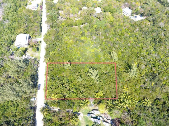 11r Yellow Wood, Cherokee, Abaco