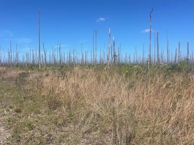 Lucaya Estates Lot, Grand Bahama/Freeport