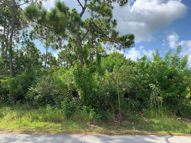 Sandcombe Drive 1, Grand Bahama/Freeport