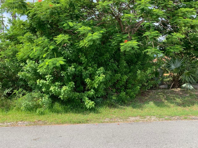 Wrexham Drive, Grand Bahama/Freeport