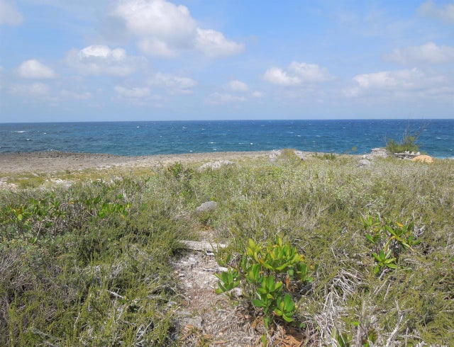 Whale Point Estates, Eleuthera