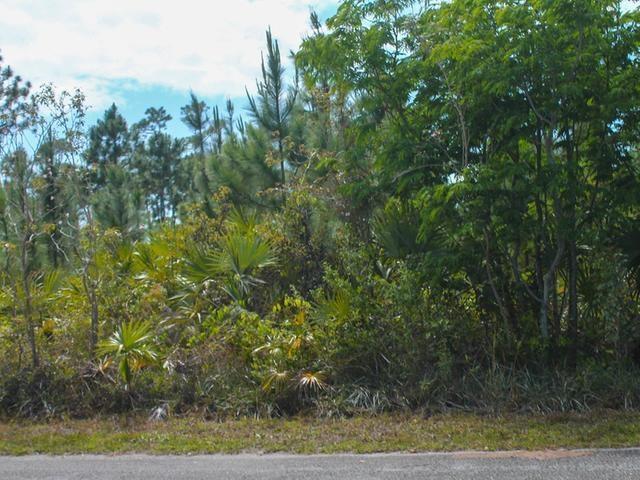 12 Edgeware Street, Grand Bahama/Freeport