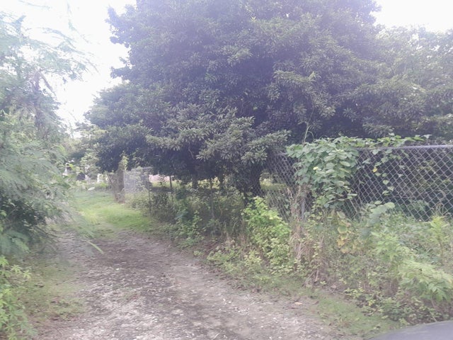 Lot 8 & 10 Ferguson Villa Lot 8 & 10, New Providence/Paradise Island