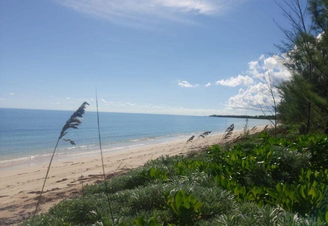 Staniard Creek, Andros
