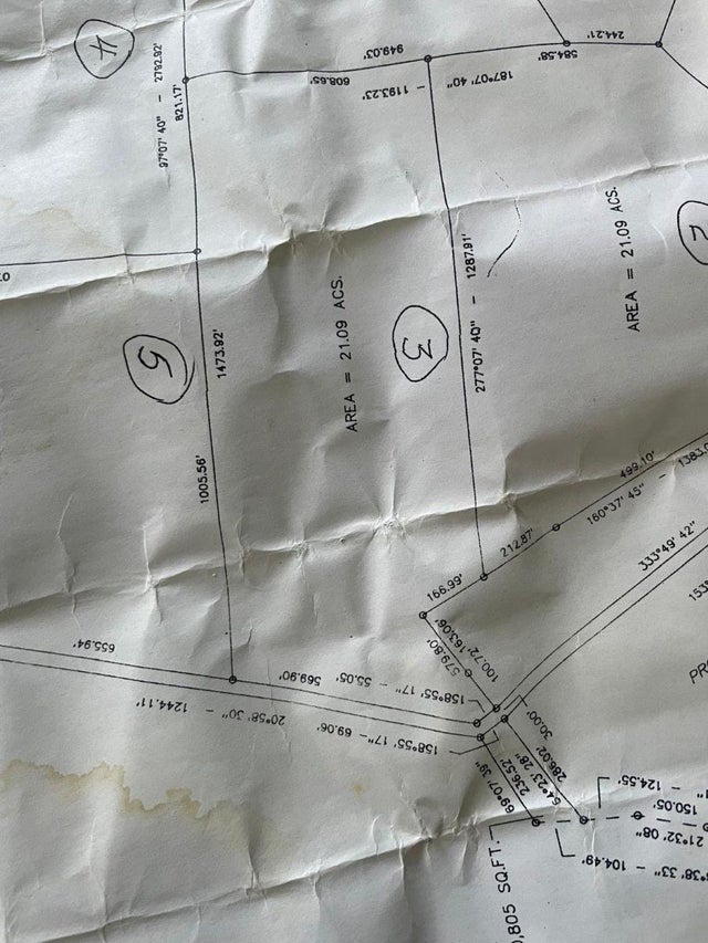 Cabbage Point, Long Island