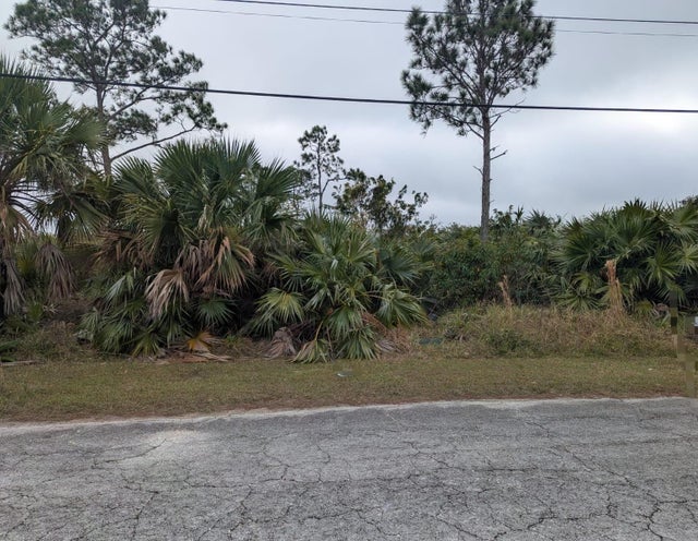 004 Rose Way Block M, Grand Bahama/Freeport