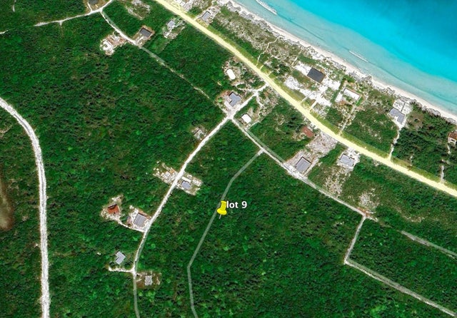 Aster Lily Avenue, Berry Islands