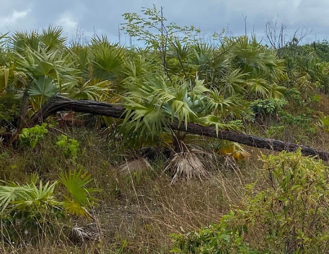 Lucaya Estates Lot, Grand Bahama/Freeport