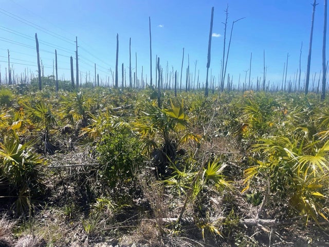 Lucaya Estates Property 13, Grand Bahama/Freeport