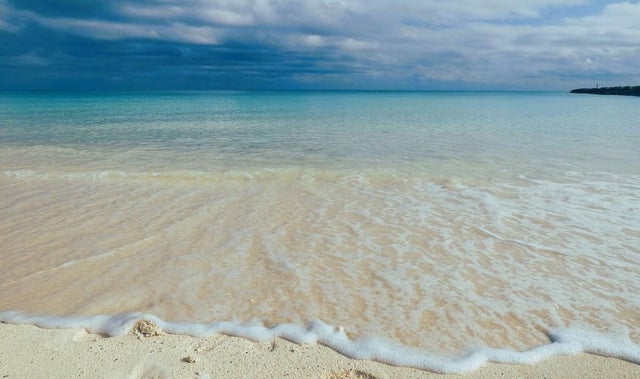 Hideaway Basset Cove, Grand Bahama/Freeport