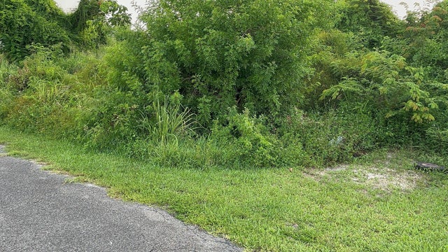 East Street North Lot, New Providence/Paradise Island