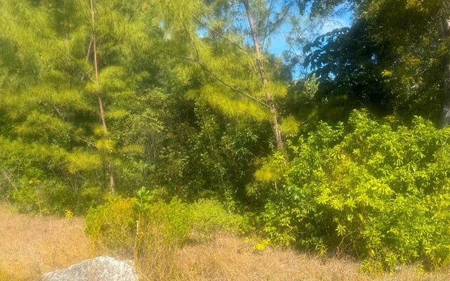 Leicester County, Grand Bahama/Freeport