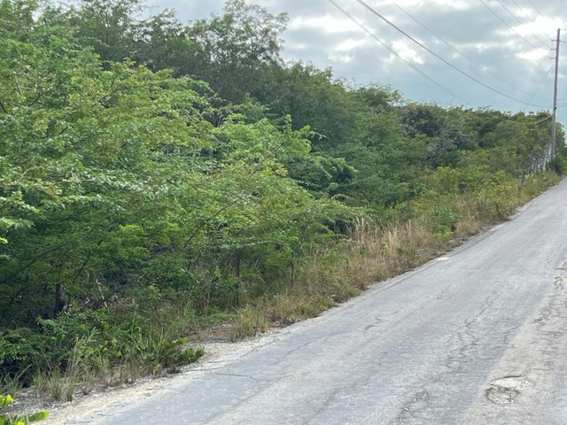 Zebra Fish Road, Exuma & Exuma Cays