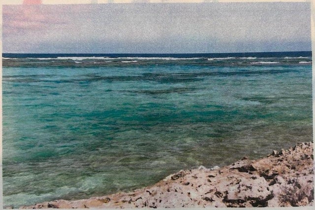 Bunches, Long Island, Long Island