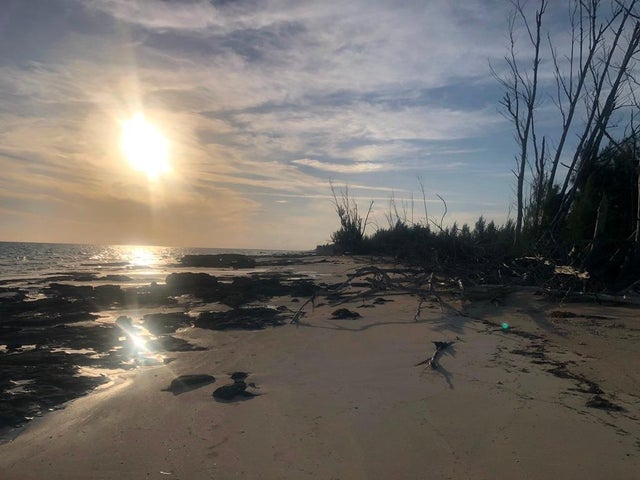 Bassett Cove, Grand Bahama/Freeport