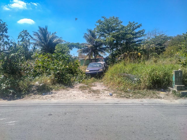 Wilson Track, New Providence/Paradise Island