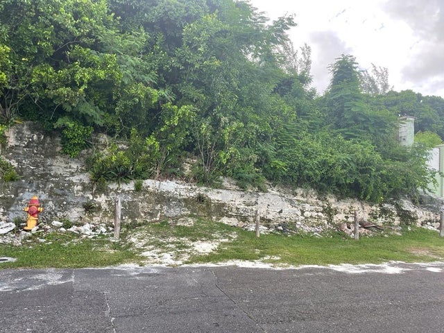 Garden Hills Vacant Lot, New Providence/Paradise Island