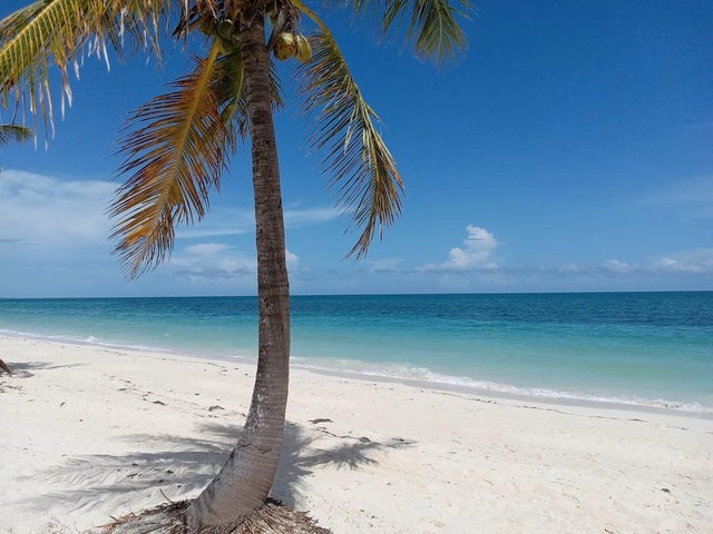 Riviera Towers Condominiu 101, Grand Bahama/Freeport