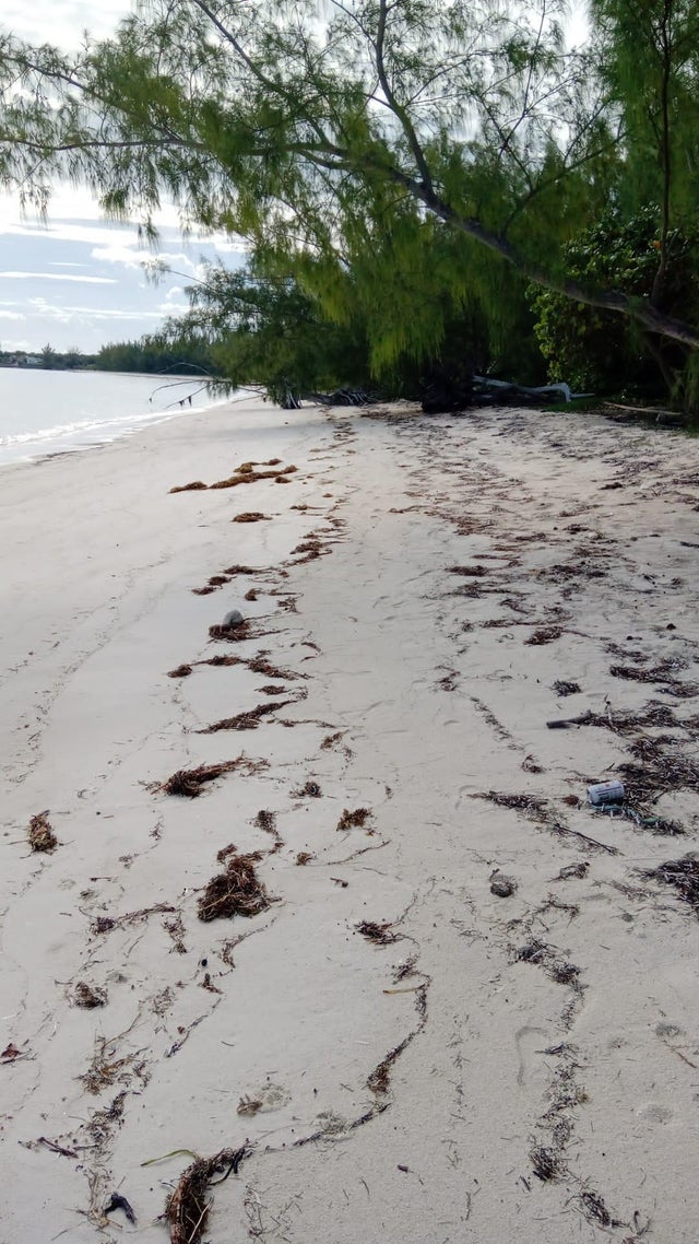 Small Hope Bay, Andros