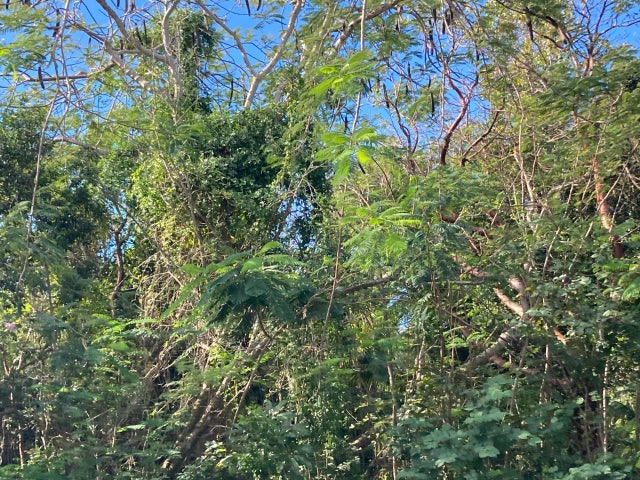 37 Coconut Road Flamingo Bay, Exuma & Exuma Cays