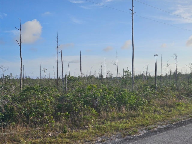 6 Heybridge Drive 1, Grand Bahama/Freeport