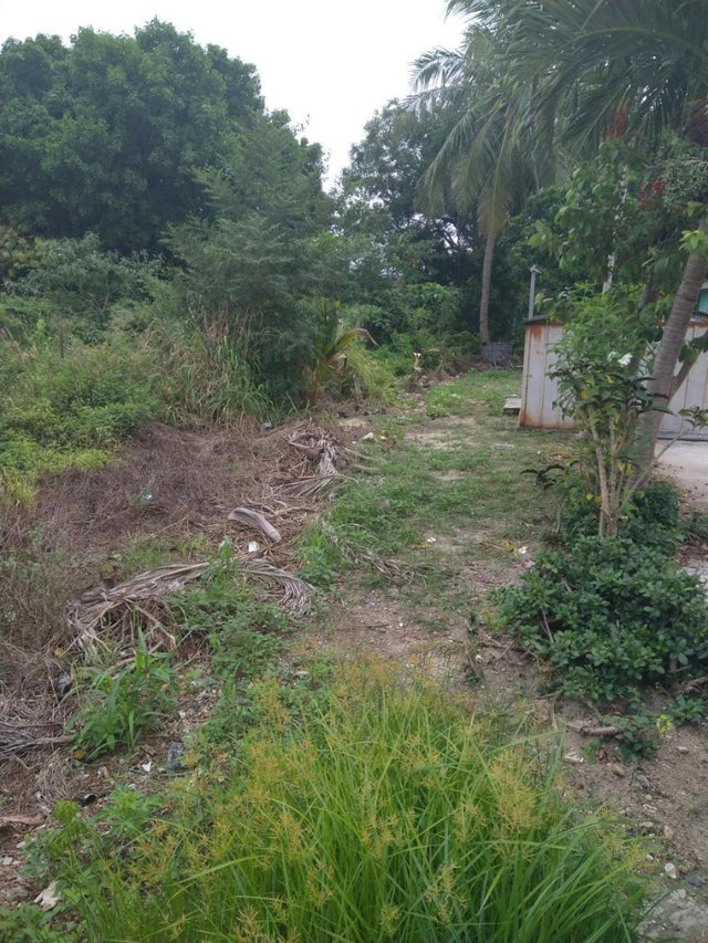 Windor Place Road, New Providence/Paradise Island